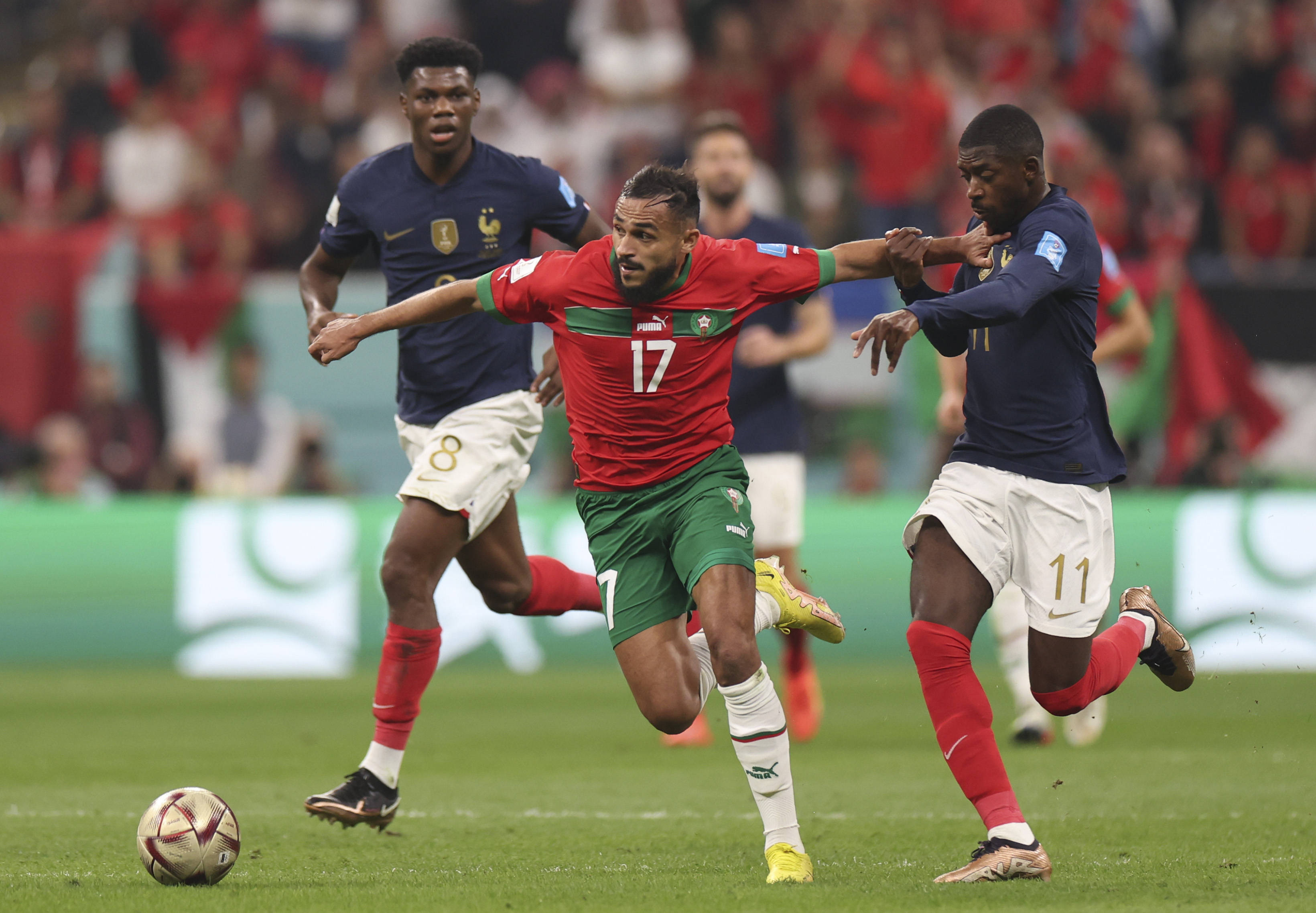 他不仅是无 他不仅是无