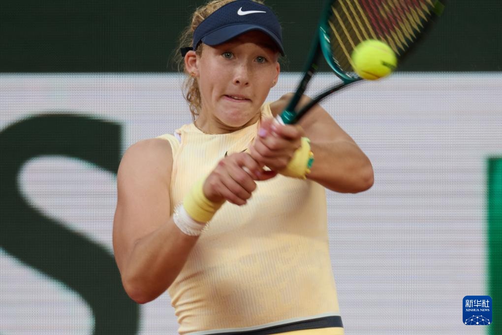 索与后续D 索与后续D